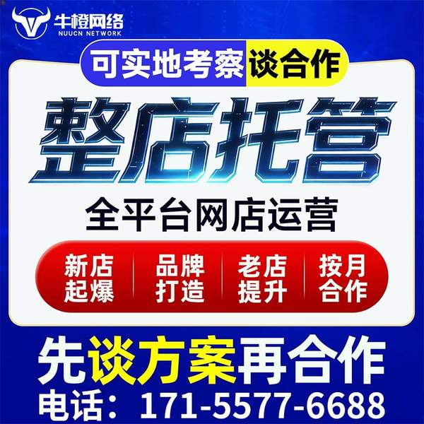 黄冈电商代运营