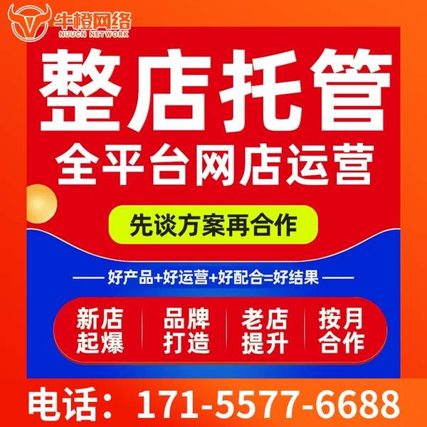 黄冈电商代运营