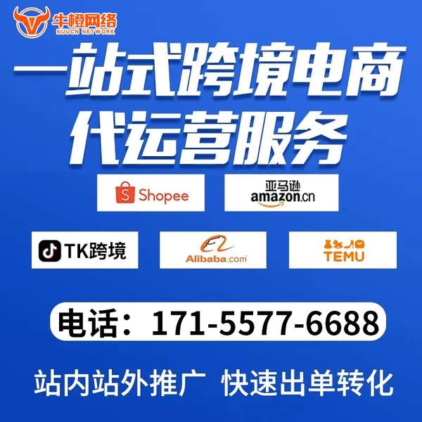 黄冈电商代运营